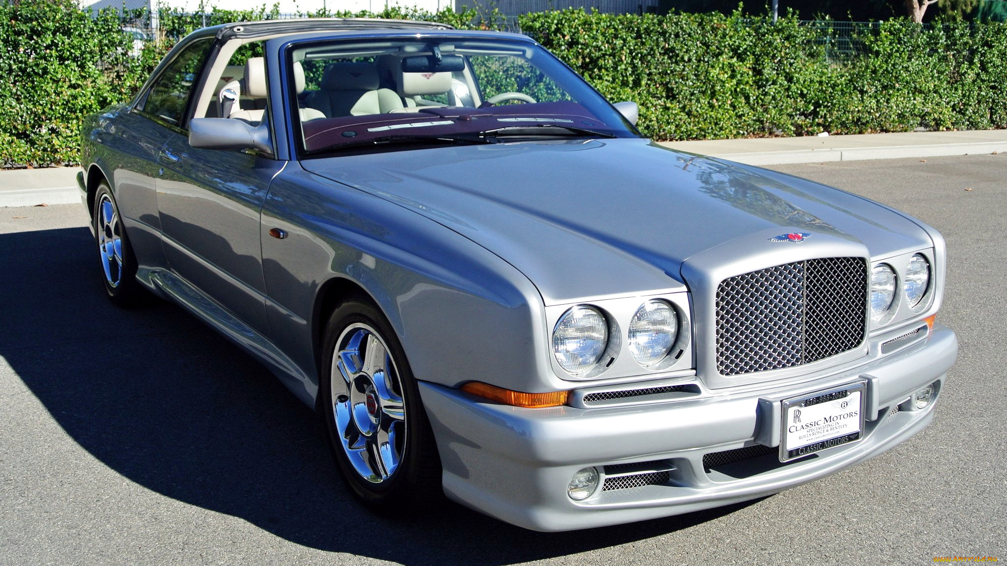 bentley, continental, , , , motors, -